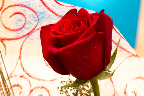 istock Red rose blooming, showing love and affection with delicate petals 2188374712