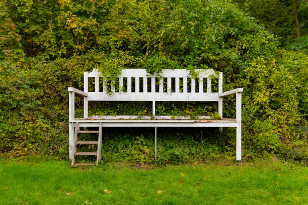 A charming white bench sits against a lush green backdrop, partially covered by creeping foliage. Its rustic look invites relaxation in nature.