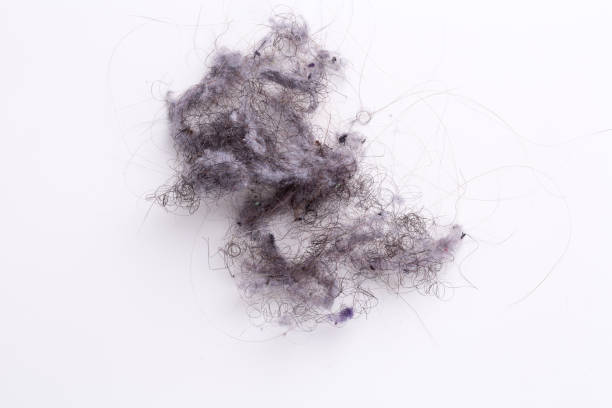 istock Dust and hair accumulating on white background representing cleaning needs 2188376787