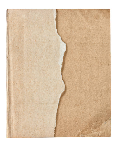 istock Vintage background of old ancient torn paper texture isolated 2188378740