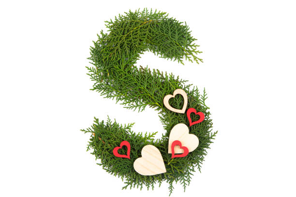 Letters alphabet or font made of pine branches and hearts isolated on white background