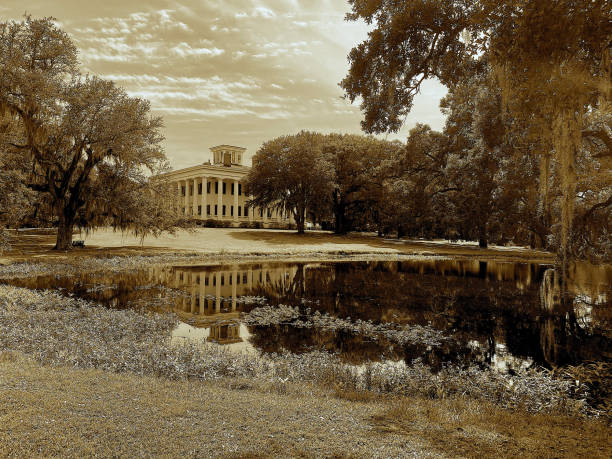 Vintage Louisiana plantation home with large oak trees and reflecting pond