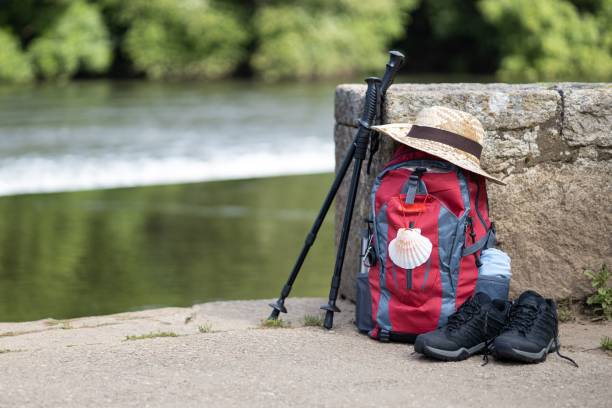 A woman wearing a hat and a backpack is walking on the French Way of St. James on the way to Los Arcos  from Estella. This road passes through the agriculture field.