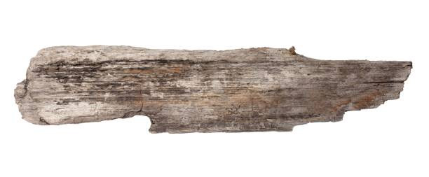 istock Sea drift wood plank isolated on white background 2188382706