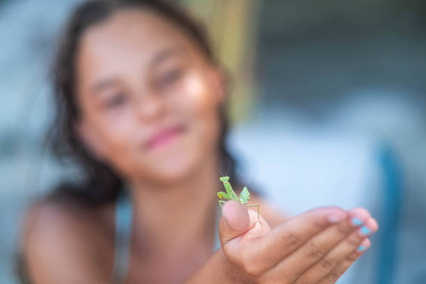 the little girl is holding a mantis on her hand