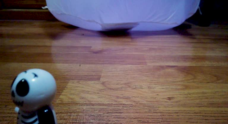 Mexican wind-up toy symbolizing a skull used in altars during the Day of the Dead celebration in Mexico