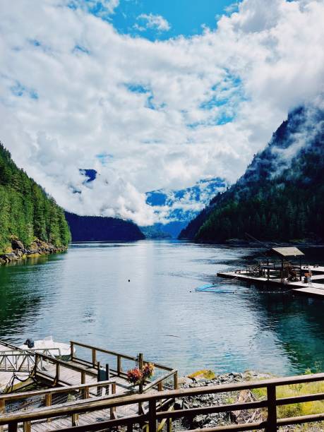 dreamy inlet in Canada