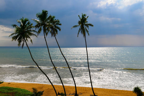 Beach in Gambia, Africa