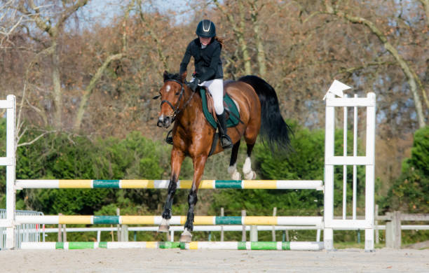 istock Beautiful young rider on her mare with her protective vest during a show jumping competition 2188402039