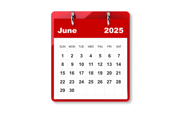 June 2025 Monthly Calendar Planner Template on a white background. 3d Rendering