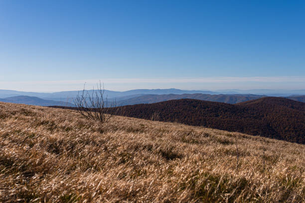 Autumn in Bieszczady Mountains, Poland. View from Mala Rawka peak.