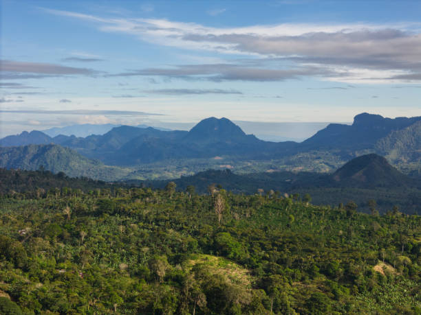 istock Green valley landscape with mountain background 2188408410