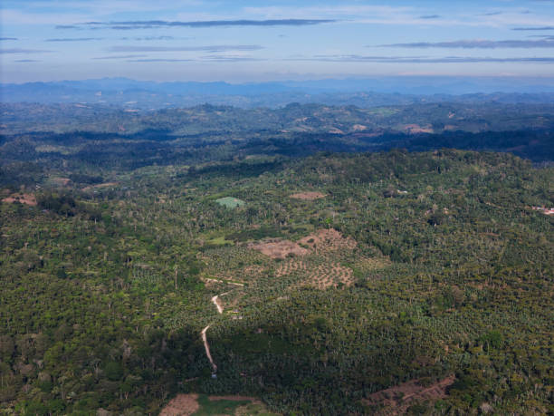 istock Tropical farm aerial landscape 2188408422