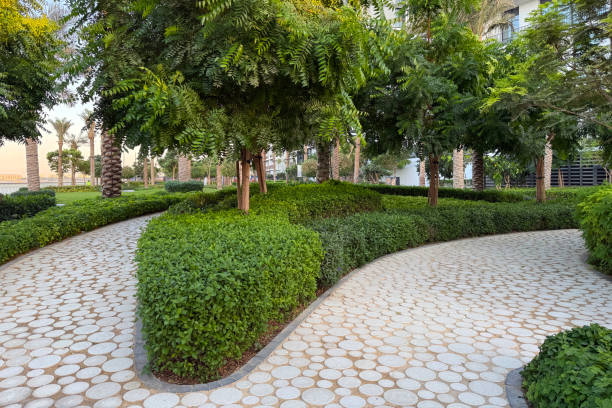 istock scenic park pathway surrounded by lush greenery and trees, serene environment for walking and relaxation 2188415694
