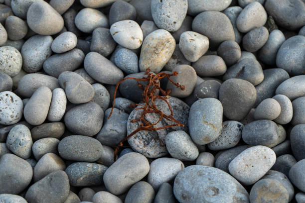 Processed collage of sea shore pebbles texture. Background for banner, backdrop or texture for 3D mapping