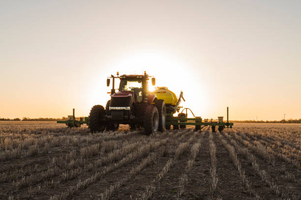 istock A tractor planting sorghum in Australia during sunset 2188421945
