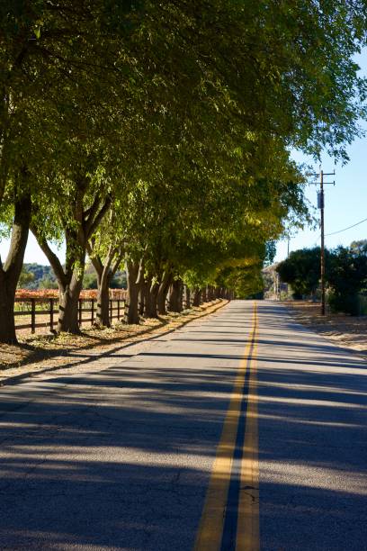 istock Two lane road in the countryside 2188426067