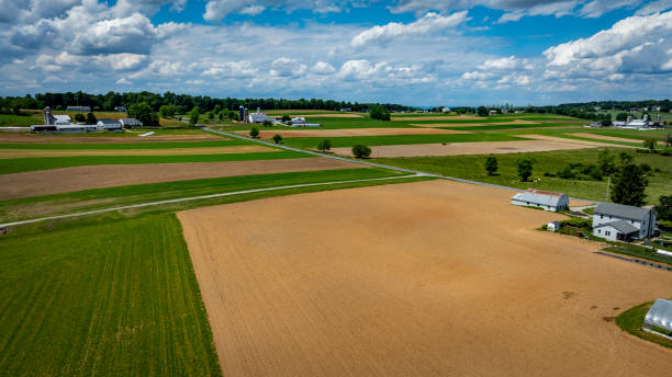 istock Fields Stretching Under a Blue Sky With Clouds in a Rural Landscape During Daytime 2188431142