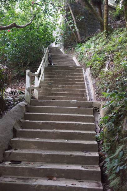 istock Lush Green Staircase in Nature 2188435024