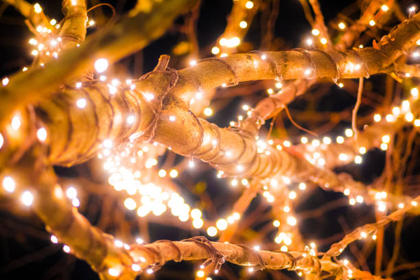 Twinkling Warm Lights Wrapped Around Tree Branches Create a Magical Ambiance and Holiday Cheer in the Nighttime Outdoor Setting