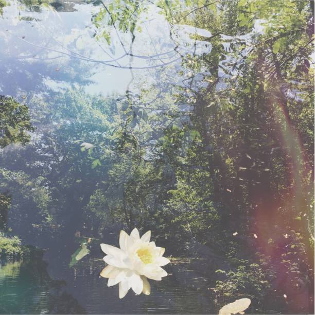 Double exposure of canoeing on a river in northern Massachusetts
