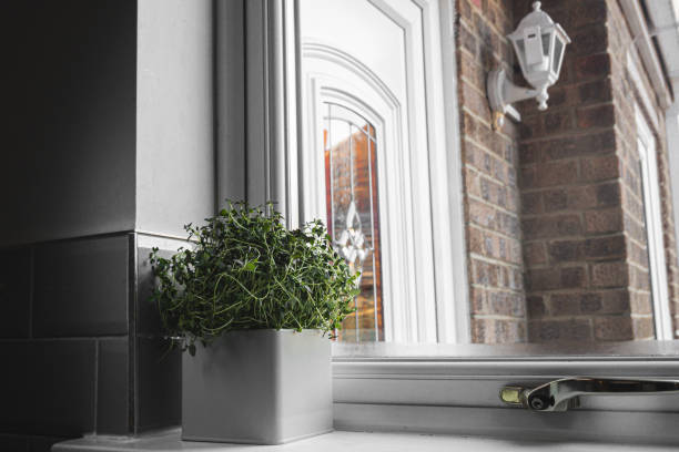 istock thyme on a sill with a view of british house 2188440141