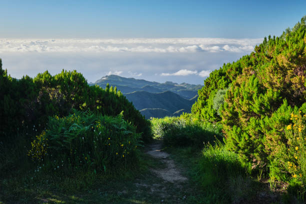 istock View from hike to Pico Ruivo, Madeira 2188440176
