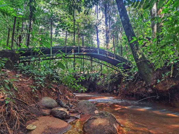 istock Concrete and Metal Bridge Over a Forest Stream 2188445596