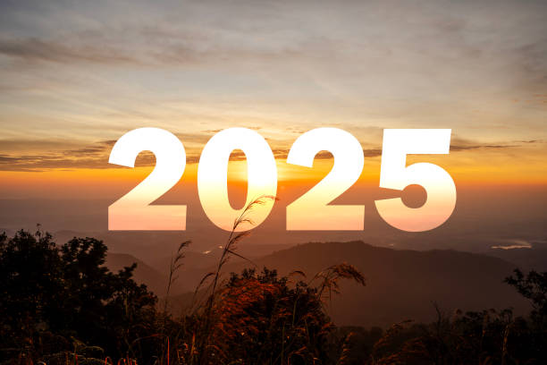 A glowing number 2025 stands in a grassy area as the sun sets, casting warm light against a backdrop of trees.