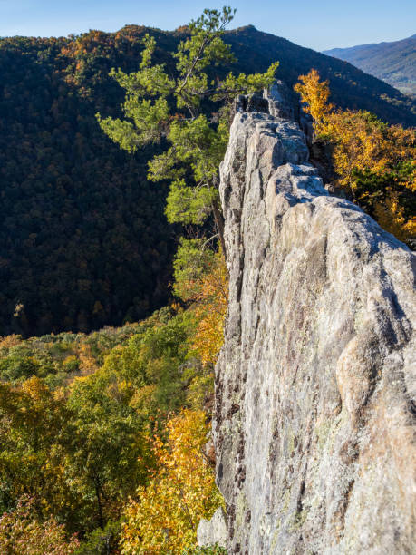 istock The vertical cliff with sharp edge drops into the fall colored forest at the summit of Seneca Rocks, West Virginia, USA 2188452411