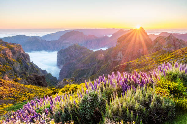 istock View from Pico do Arieiro, Portugal 2188453695