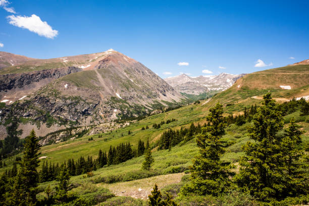 istock Rocky Mountains with green hilly foreground, pine trees and blue sky with small clouds in Colorado, USA. 2188453911