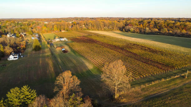 istock Overlooking the forest in Brandywine Valley in First State National Historical Park from a nearby vineyard, Chadds Ford, Pennsylvania 2188465265
