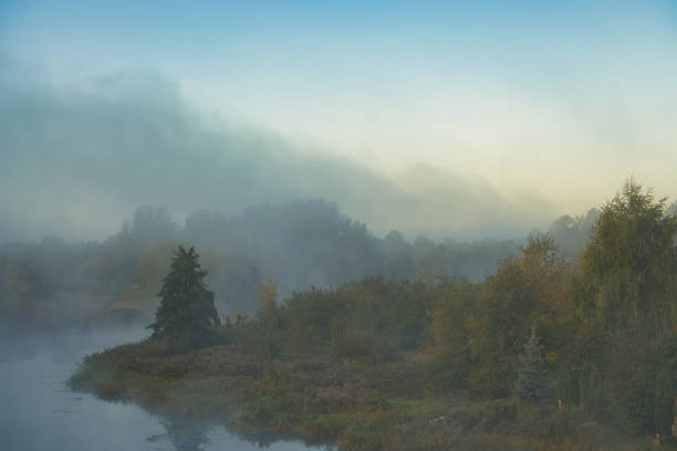 Serene morning mist over a tranquil river with lush greenery and tree reflections in calm water