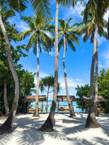 istock Beach resort in the Maldives, Asia 2188473443