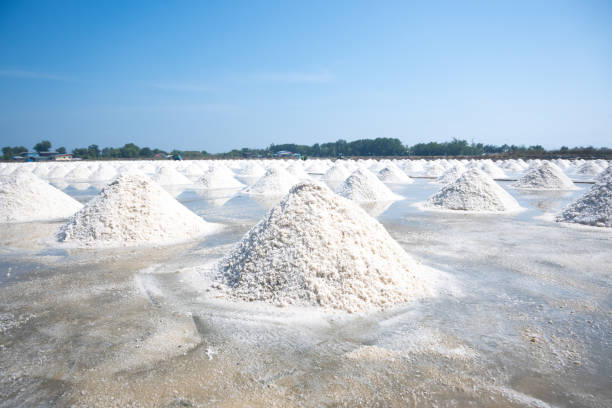 istock Salt Farming in Thailand 2188477155