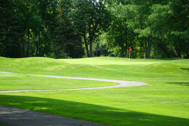 istock winding pathway in green meadow in golf course 2188478899