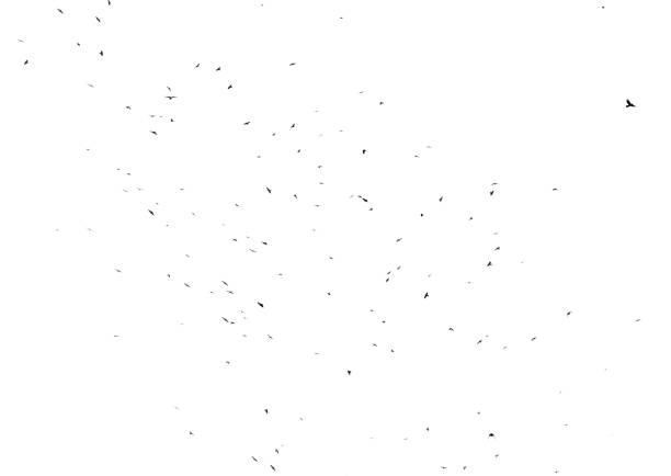 istock A white background with a lot of black dots scattered all over it 2188479801
