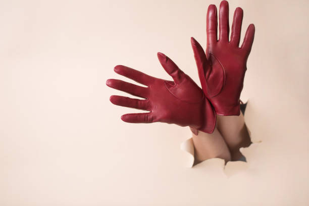 istock Two female hands in burgundy leather gloves with open palms 2188483684