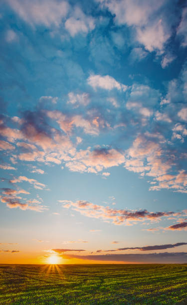 istock Sunset, Sunrise, Sun Over Rural Countryside Wheat Field. Spring Time 2188485957