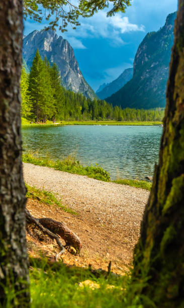 istock Lake dobbiaco framed by trees in the dolomites, italy 2188487058