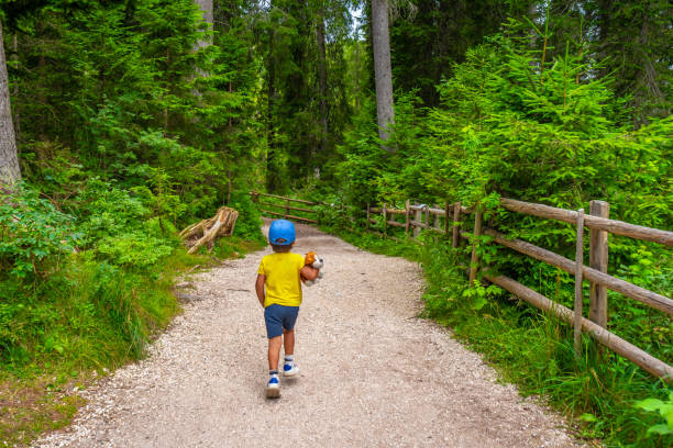 Young boy enjoying a walk in a lush green forest, holding his plush toy, exploring nature's beauty