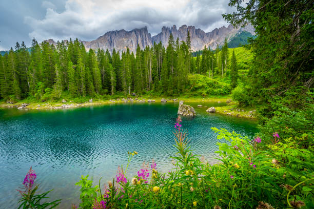 Wonderful turquoise lake surrounded by fir trees and colorful flowers reflecting latemar mountain range in the dolomites in summer