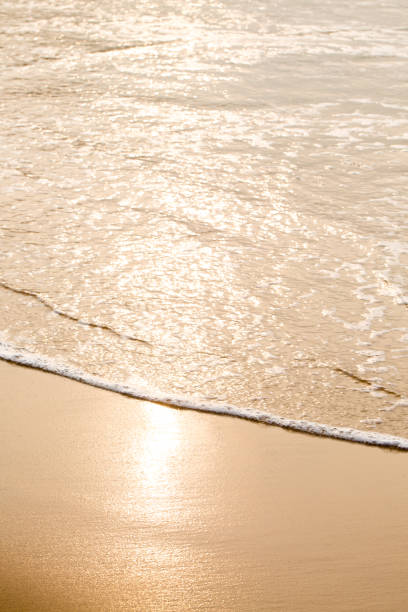 An ocean beach with calm waves. The water is clear and the sand is golden. The scene is calm and relaxed, created for solitude and relaxation.