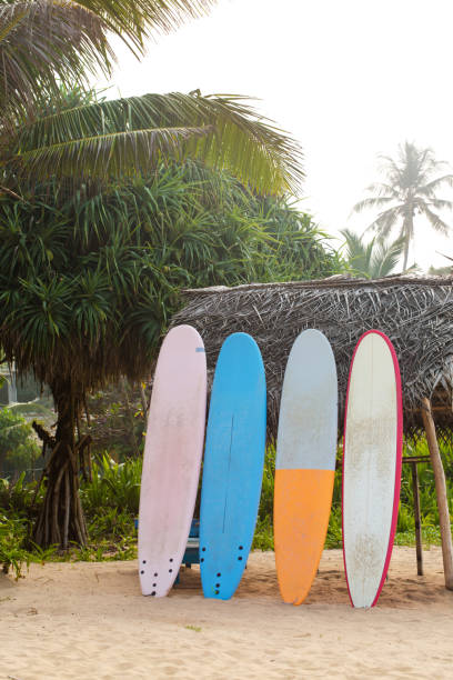 istock Surfboards stand in a row on a sandy beach near the ocean 2188489406