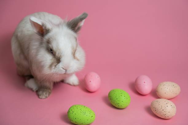 istock Easter Bunny on a pink background with colorful painted eggs. 2188490588