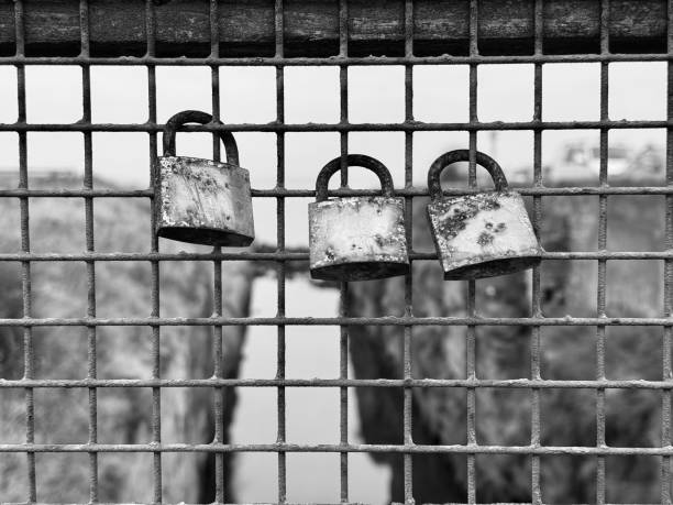Three padlocks attached to a metal fence