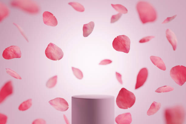 Pink rose petals falling on podium for valentine's day background.