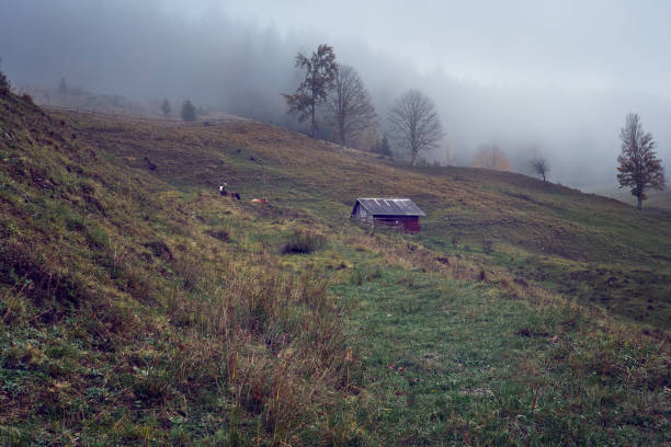 Carpathian Mountains, Ukraine