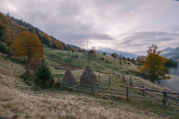 Carpathian mountains